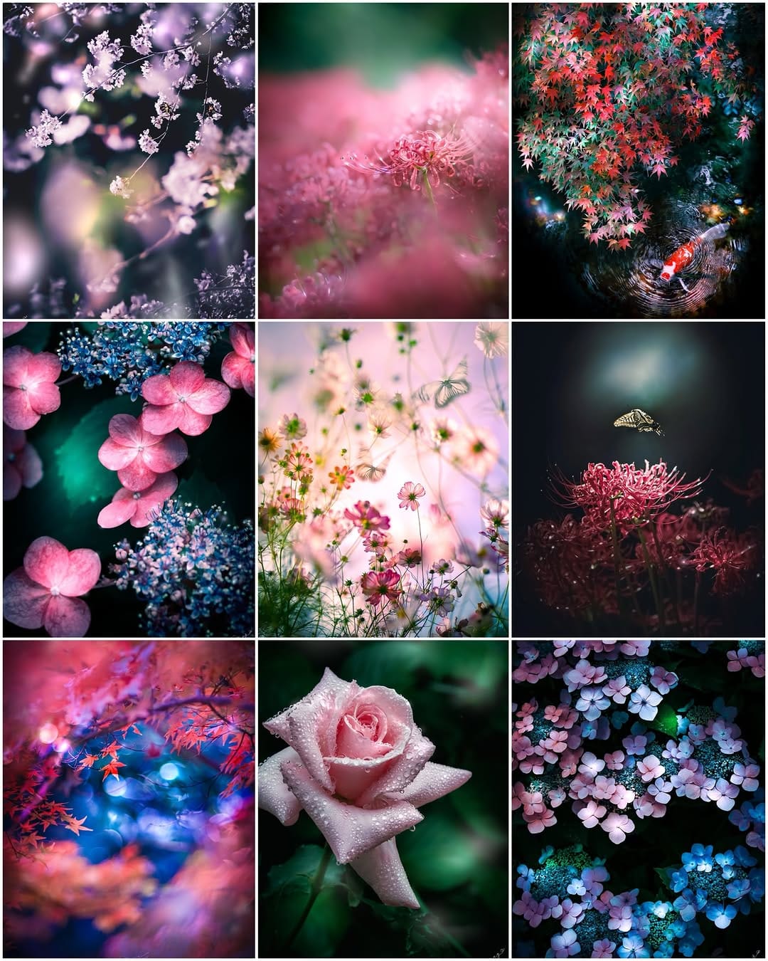 Post 8 by 晶ᴬᴷᴵᴷᴼ子 on Instagram (carousel)