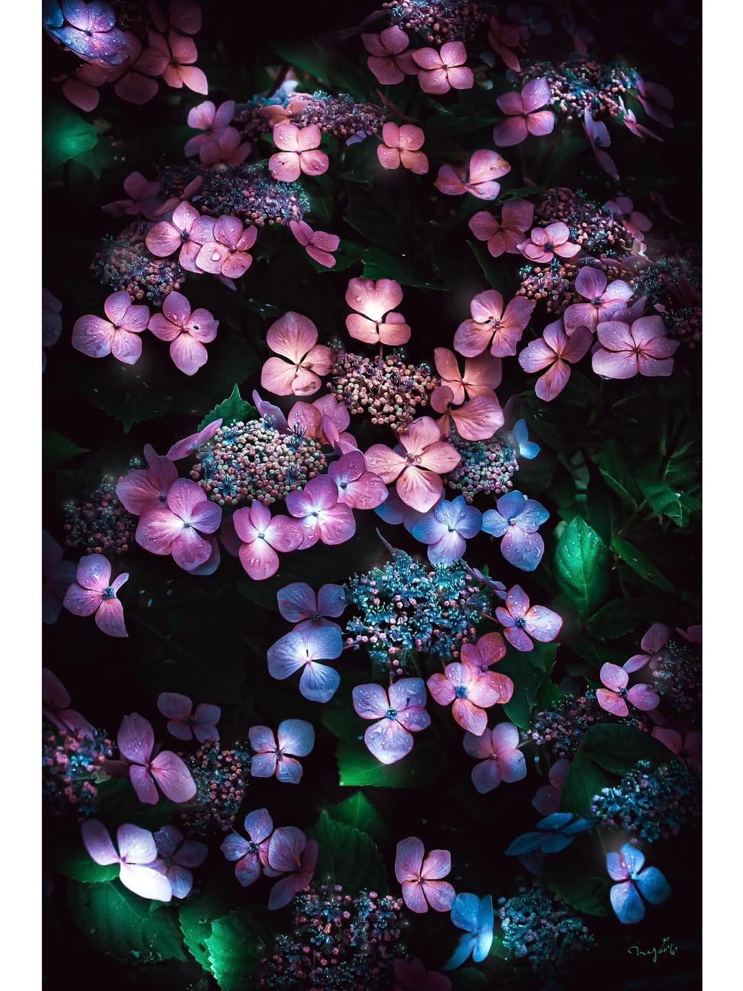 Post 2 by 晶ᴬᴷᴵᴷᴼ子 on Instagram (carousel)