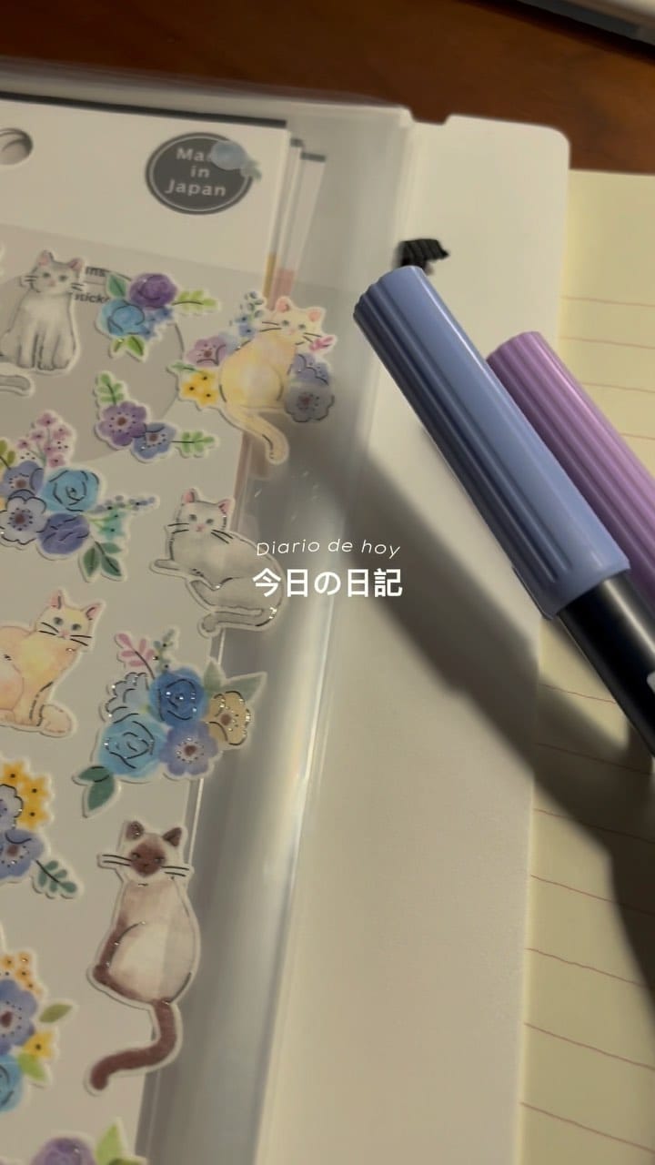 Post 4 by Pía 🇯🇵 Japones autodidacta on Instagram (video)