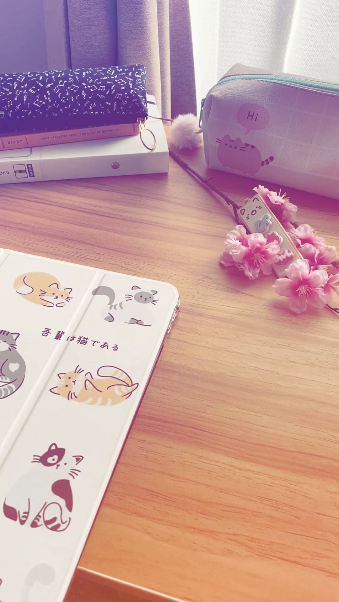 Post 3 by Pía 🇯🇵 Japones autodidacta on Instagram (video)
