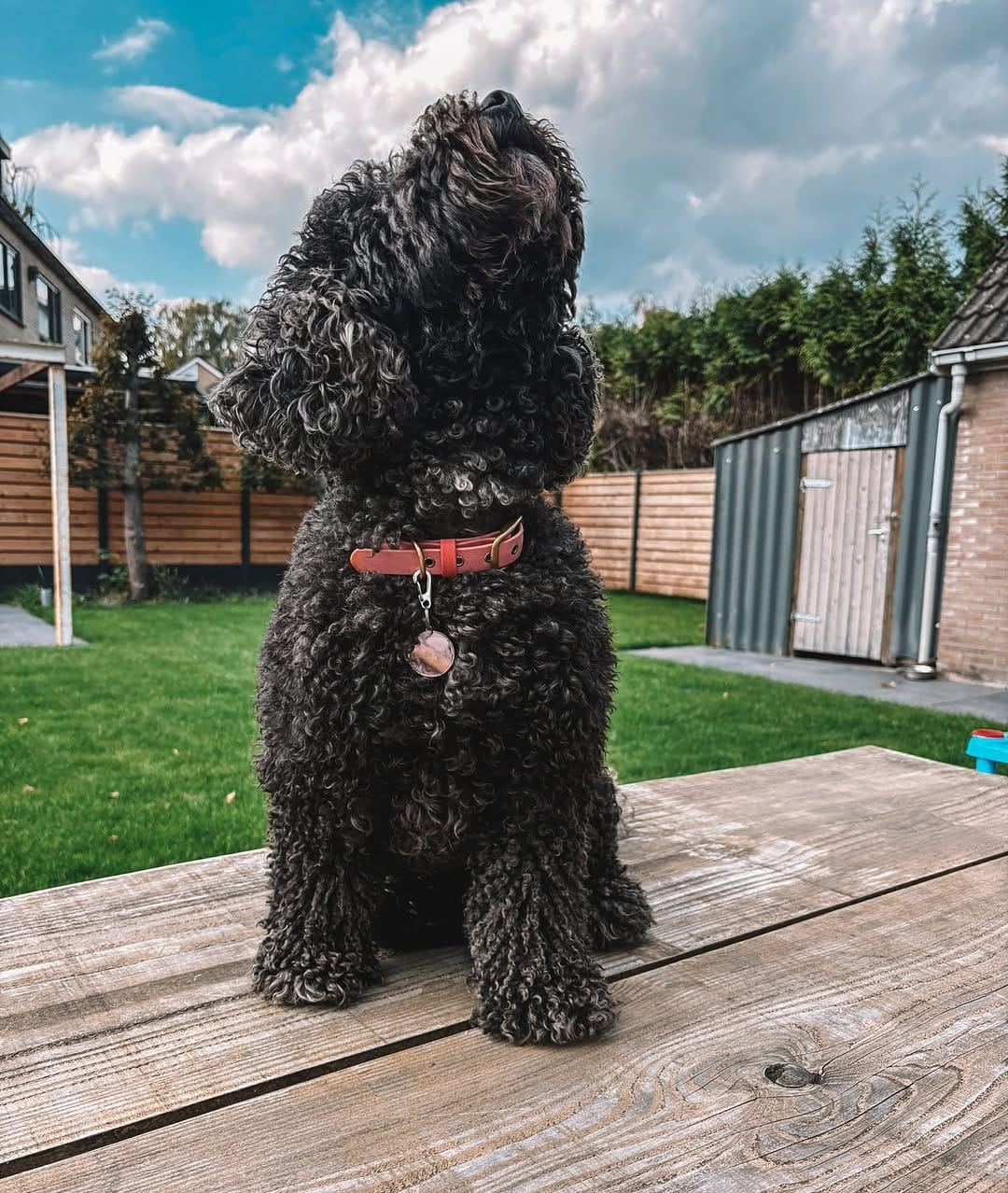 Post 10 by ᴅᴏᴏᴅʟᴇ ᴛᴇᴅᴅʏ 🧸 on Instagram (carousel)