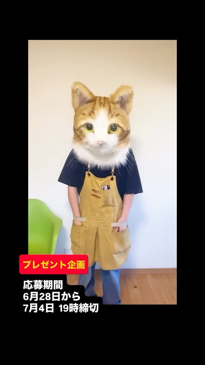 Post 1 by ネコかぶってますが｜猫作家 on Instagram (video)