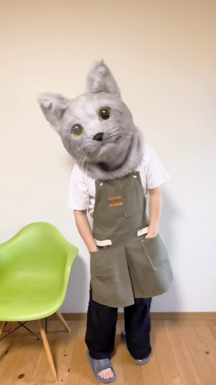 Post 6 by ネコかぶってますが｜猫作家 on Instagram (video)