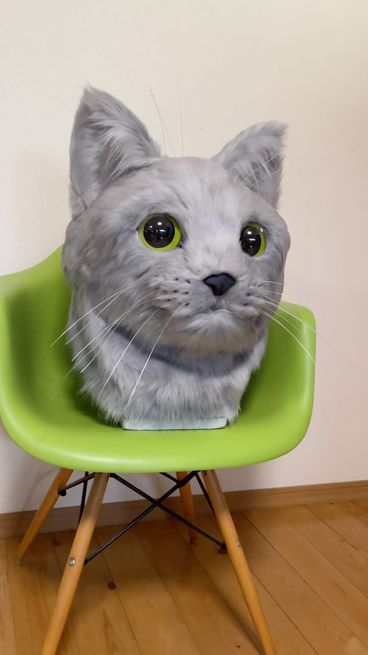 Post 7 by ネコかぶってますが｜猫作家 on Instagram (video)