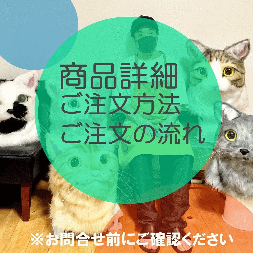Post 9 by ネコかぶってますが｜猫作家 on Instagram (image)