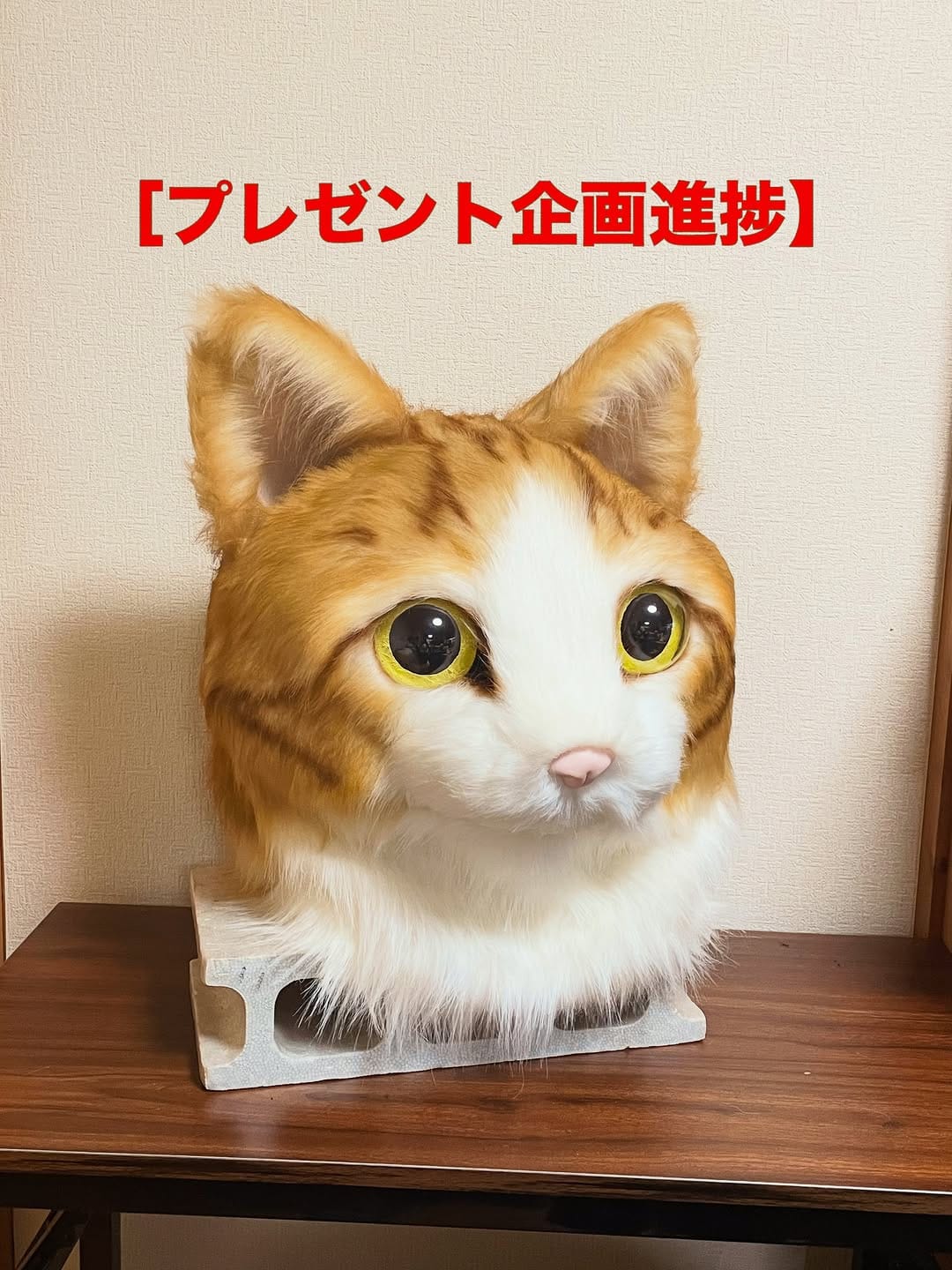 Post 4 by ネコかぶってますが｜猫作家 on Instagram (image)