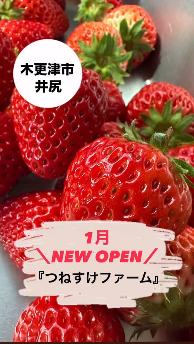 Post 7 by スイーツ専門店『Pergolato(ペルゴラート)』 on Instagram (video)