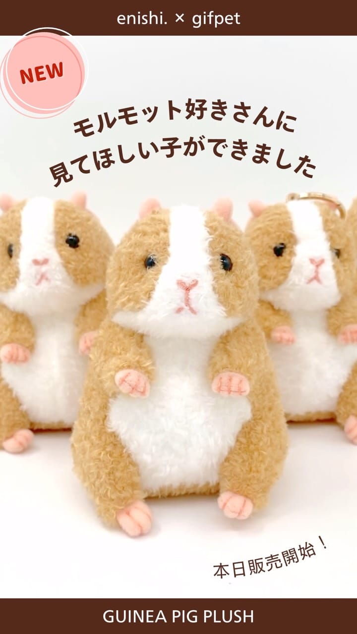 Post 4 by enishi. \ꕤ大人可愛いモルモット雑貨ꕤ/ on Instagram (video)