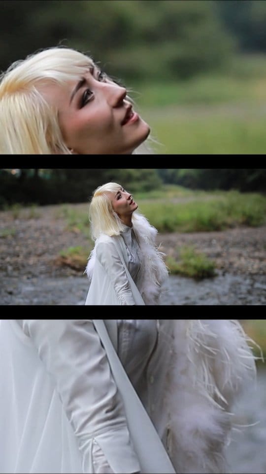 Post 5 by Maya Fennec on Instagram (video)