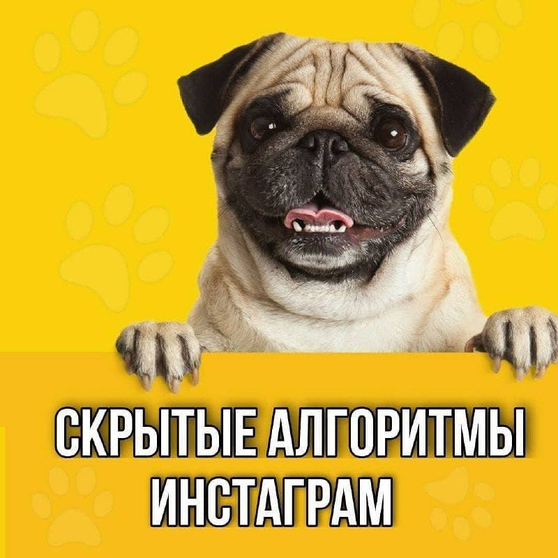 Post 1 by СММ SMM ПРОДВИЖЕНИЕ КЛИЕНТ on Instagram (image)