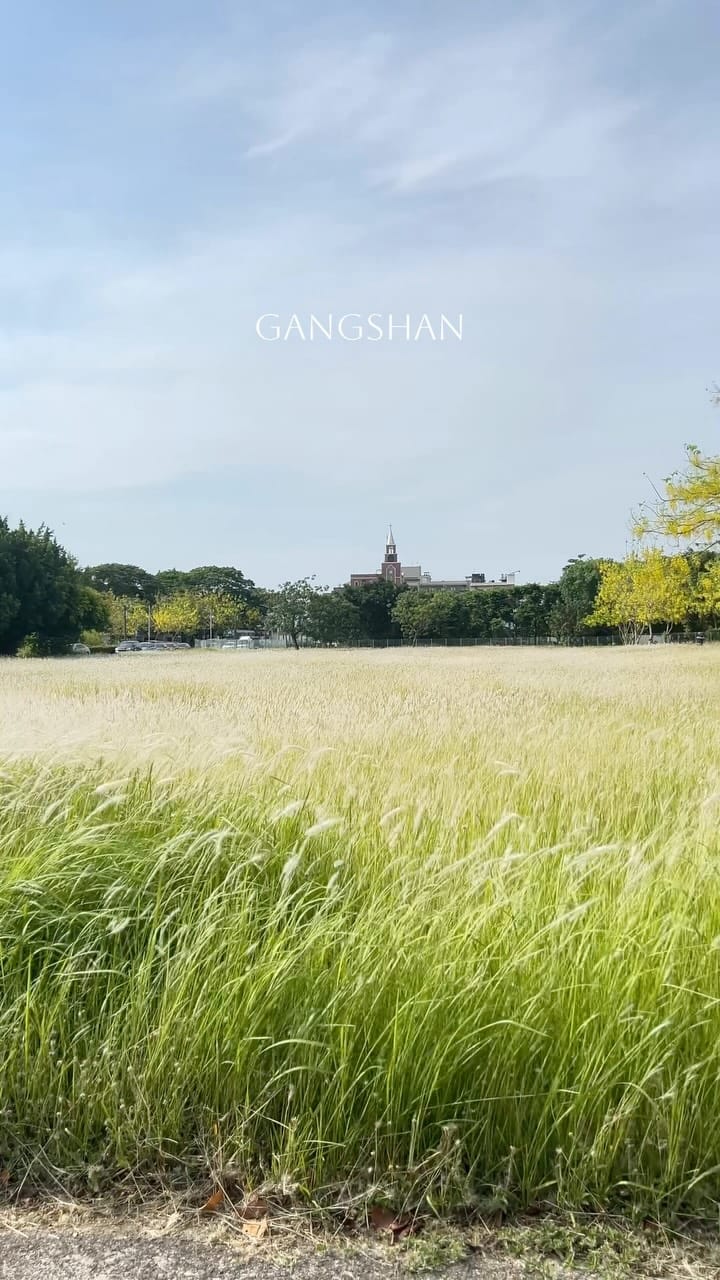 Post 4 by Jocelyn Ko Illustration 婕 on Instagram (video)
