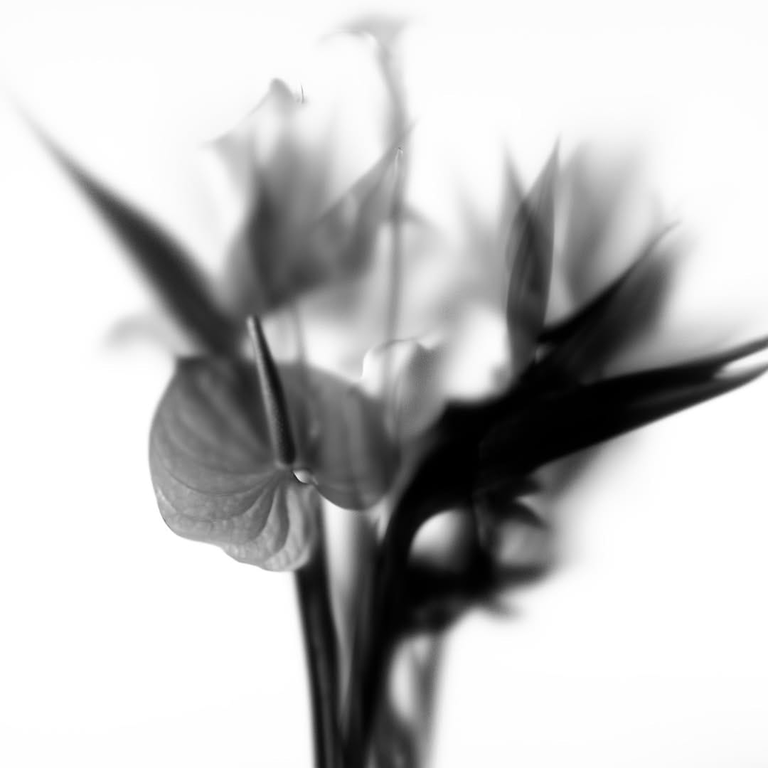 Post 9 by Tatsuya Fujimoto on Instagram (image)