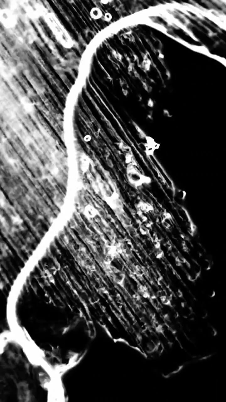 Post 4 by Tatsuya Fujimoto on Instagram (video)