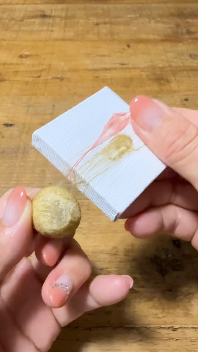 Post 4 by Mikan🍊Cocoon Artist on Instagram (video)
