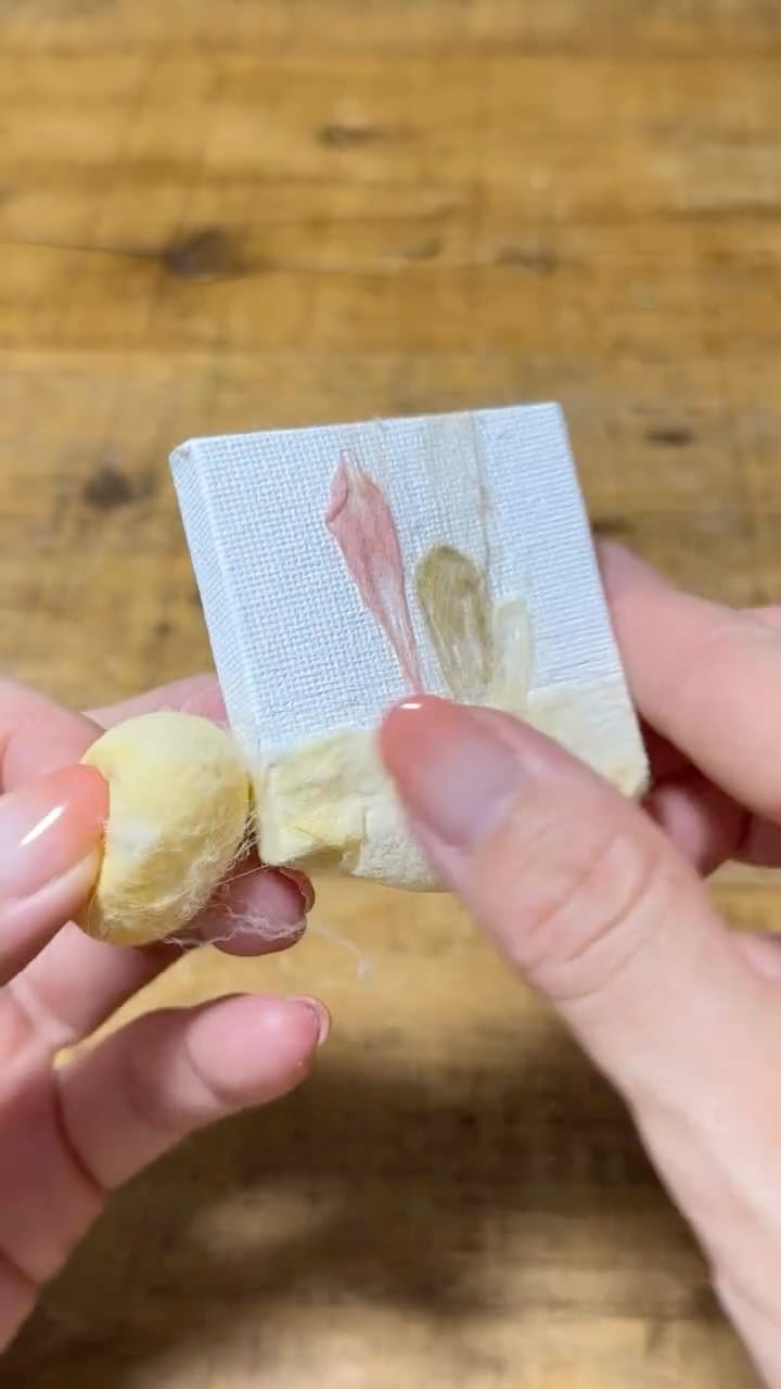 Post 1 by Mikan🍊Cocoon Artist on Instagram (video)