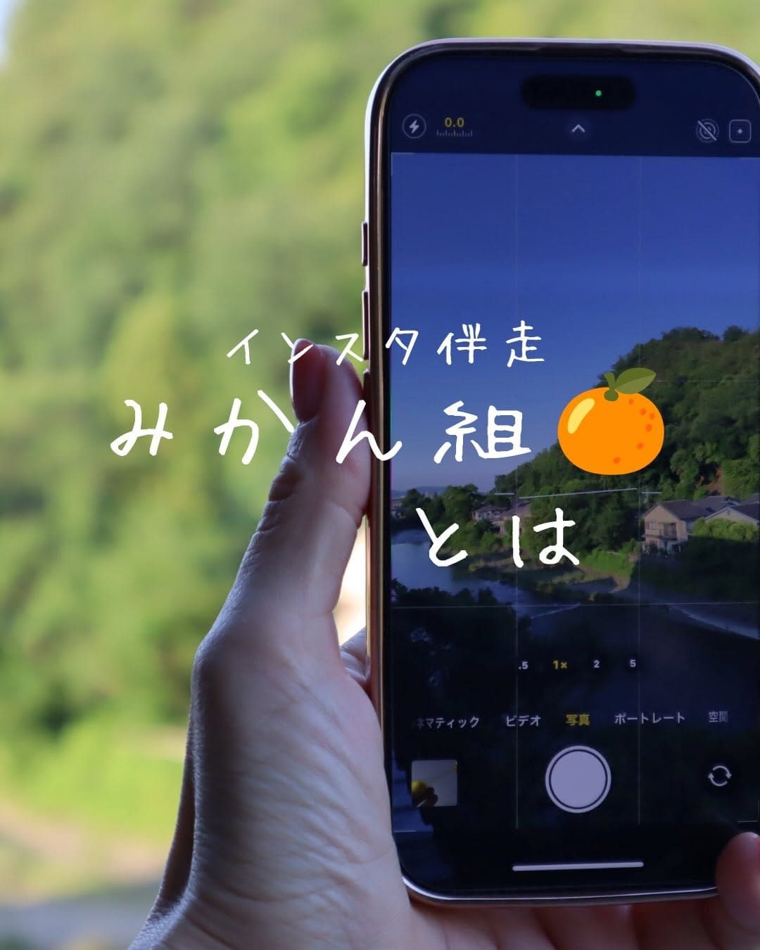 Post 8 by Mikan🍊Cocoon Artist on Instagram (carousel)