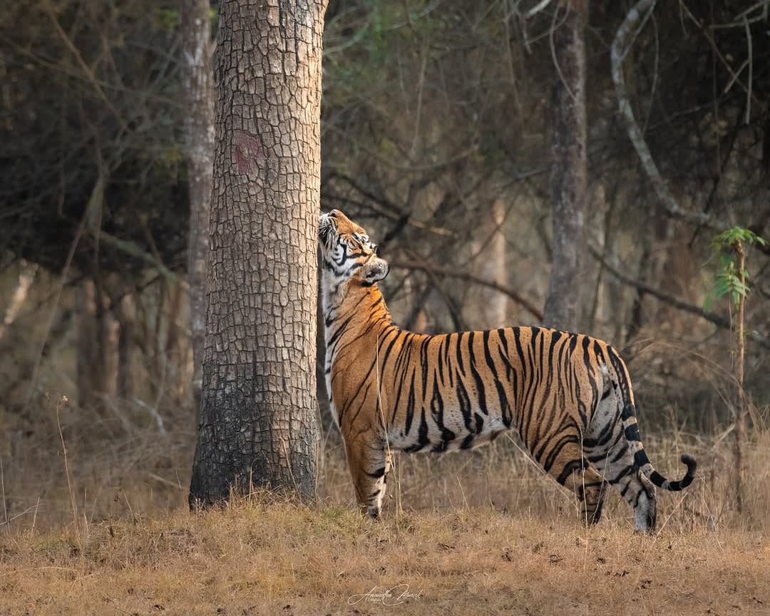 Post 4 by Anandhu M on Instagram (image)