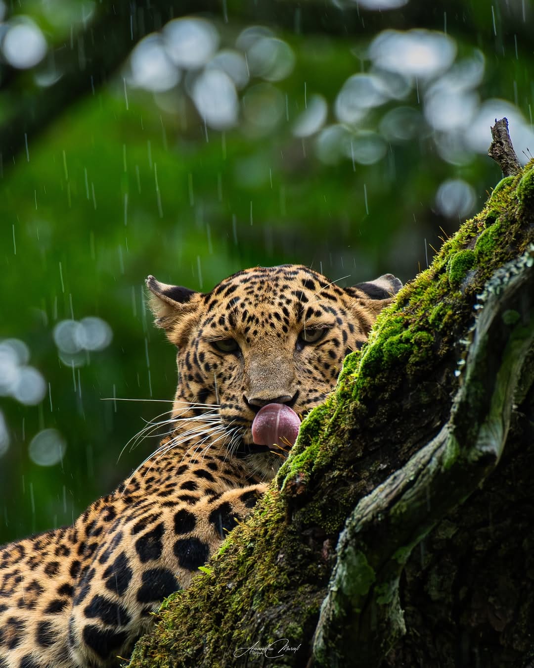 Post 2 by Anandhu M on Instagram (image)