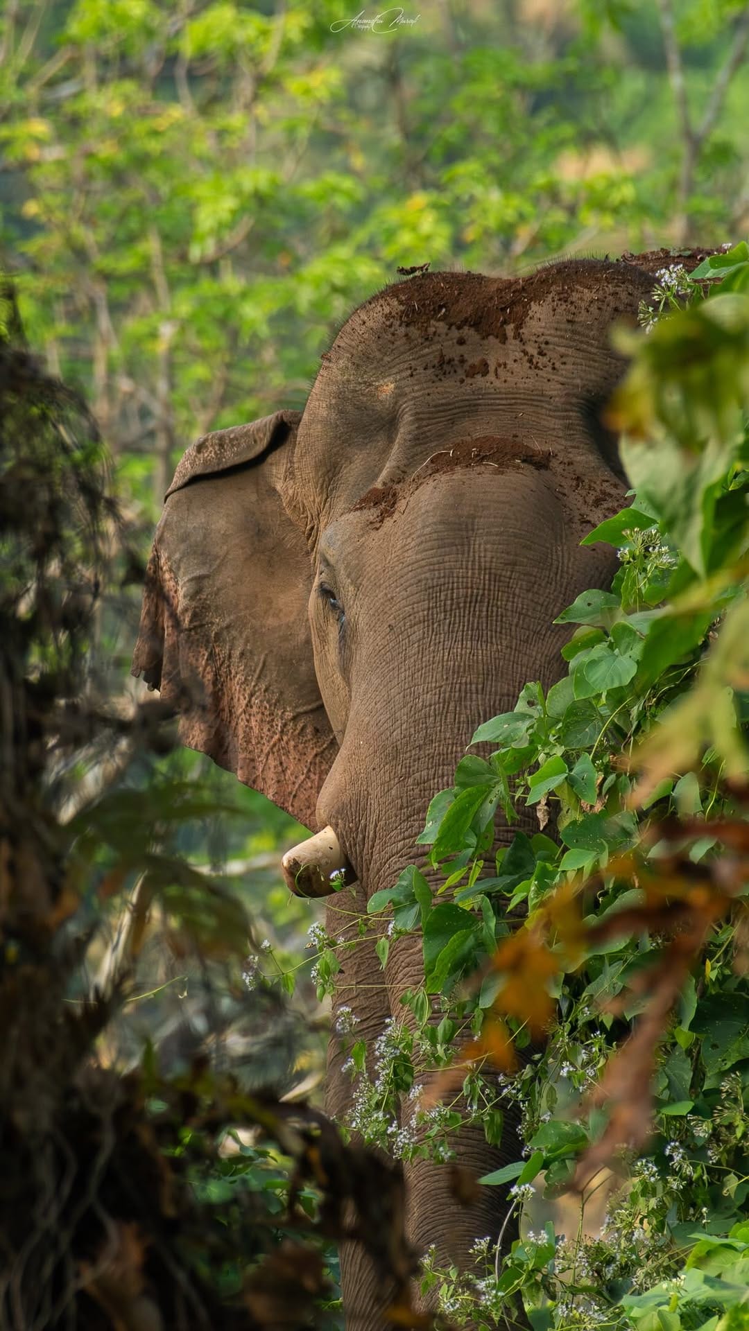 Post 7 by Anandhu M on Instagram (video)