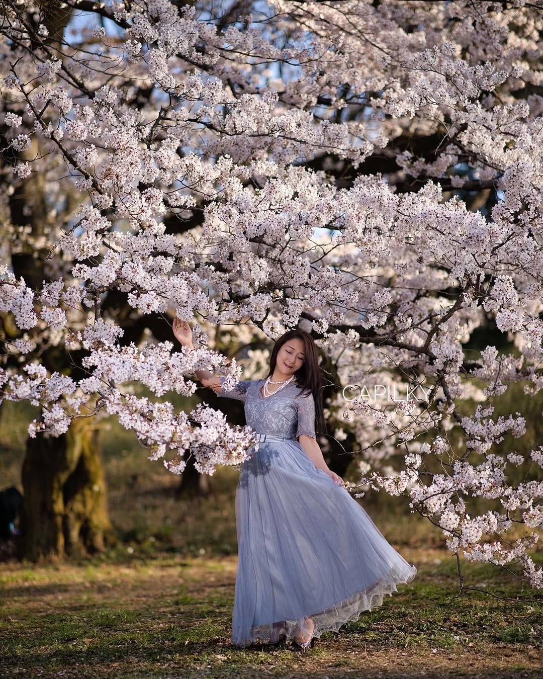 Post 3 by Capilky （秋月） on Instagram (image)