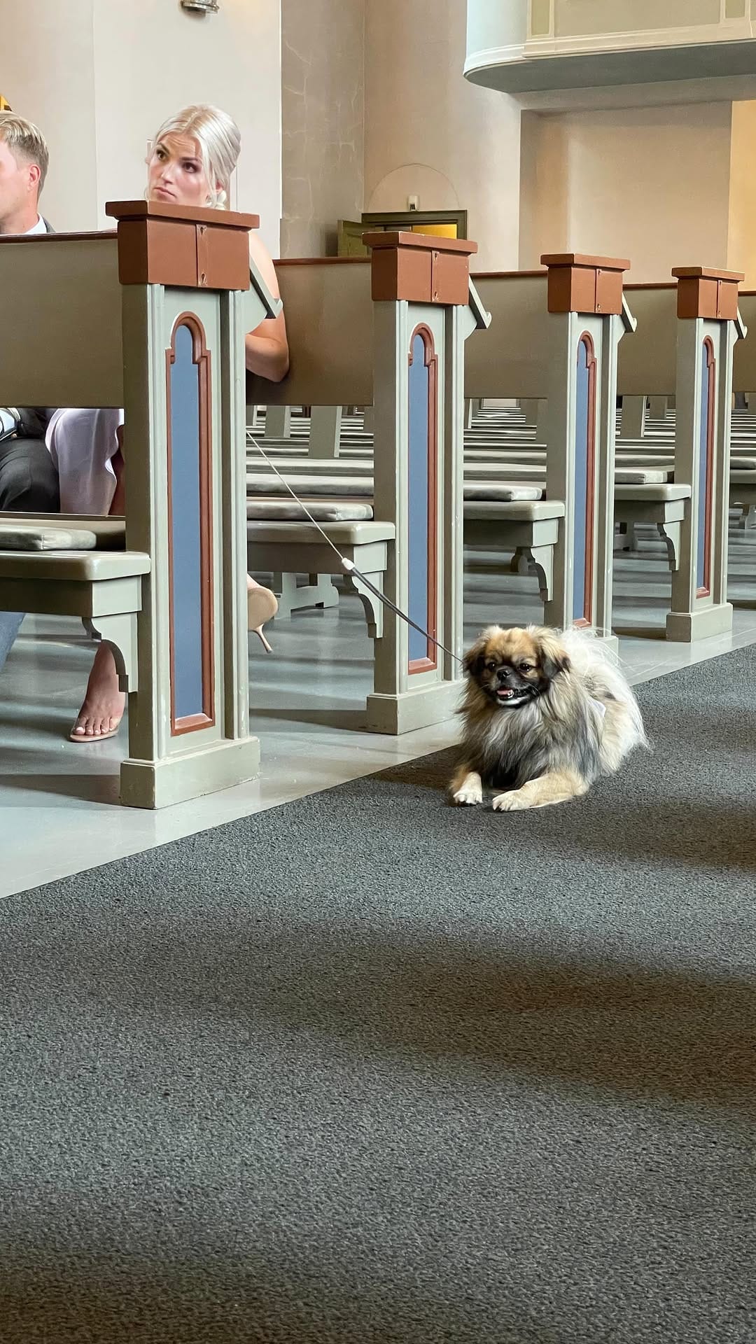 Post 10 by Kia Lehmuskoski / Dancer on Instagram (video)