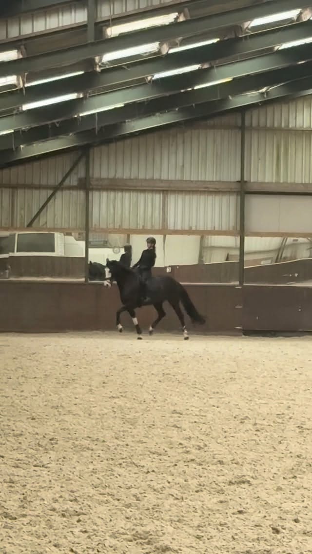 Post 7 by Justine Mudde on Instagram (video)