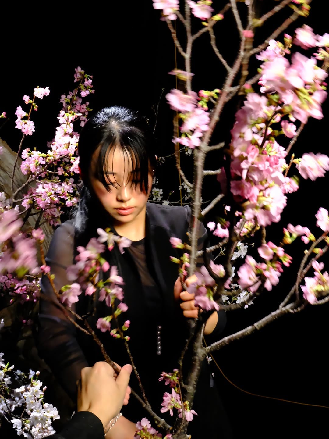 Post 1 by 華道家 美榮 BIEI®： Japanese Cultural Philosopher /Ikebana Artist on Instagram (carousel)
