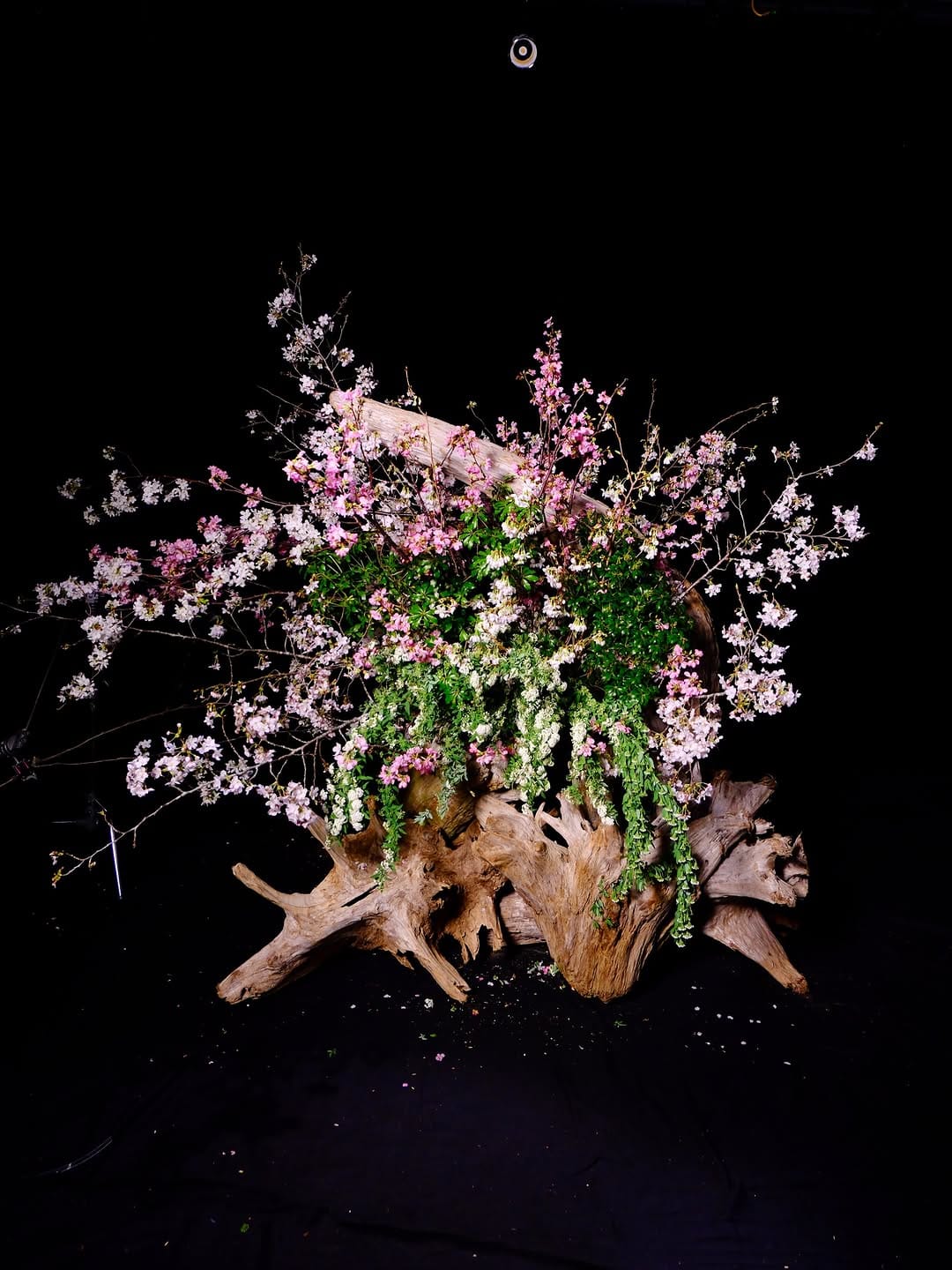 Post 2 by 華道家 美榮 BIEI®： Japanese Cultural Philosopher /Ikebana Artist on Instagram (carousel)