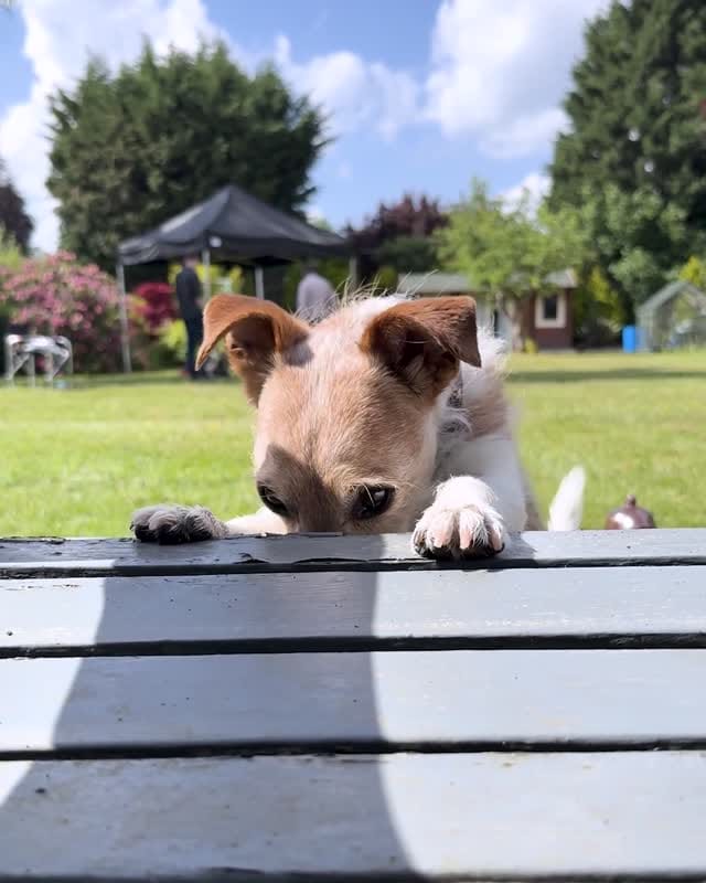 Post 8 by Midsomer Murders on Instagram (video)