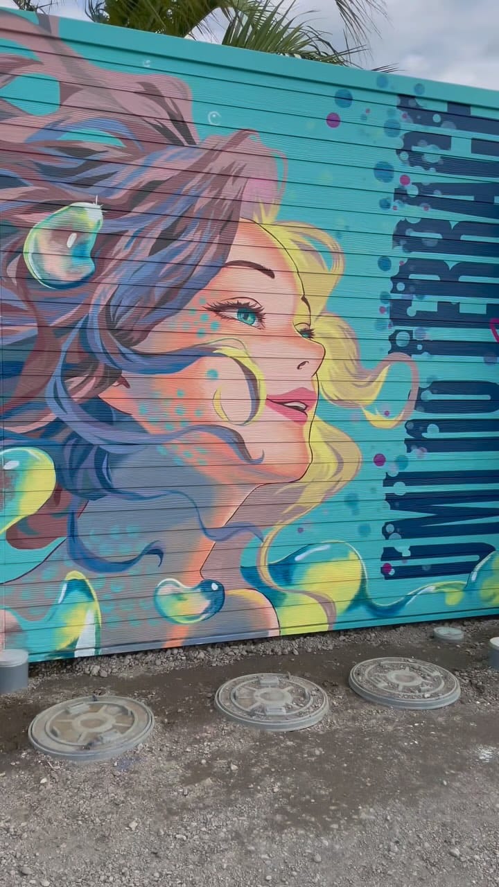 Post 5 by Sii｜壁画アーティスト on Instagram (video)