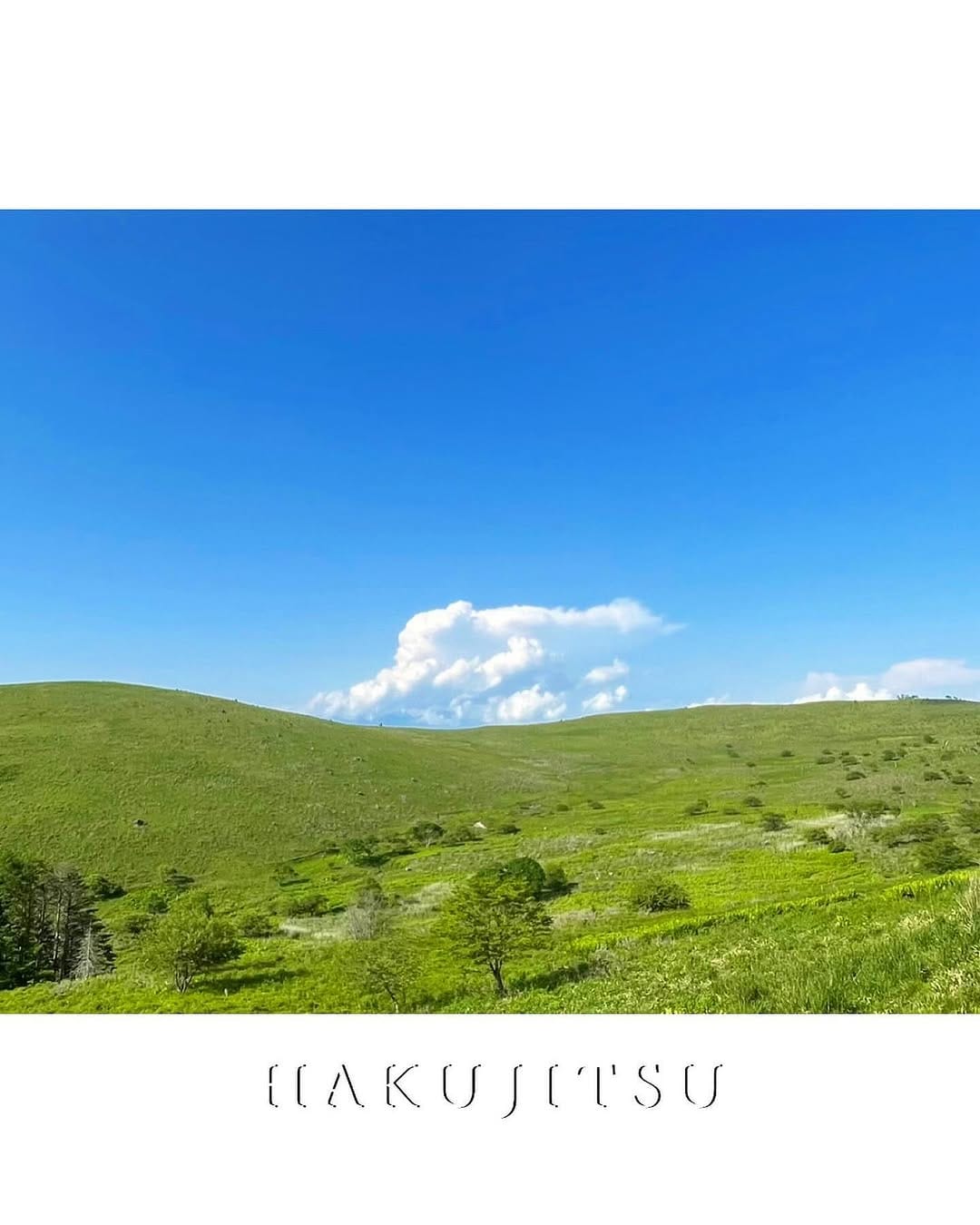 Post 10 by 五十嵐将寿　MASAKAZU IGARASHI                     HAKUJITSU  -晴空日- on Instagram (image)