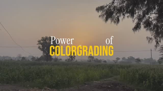 Post 10 by 𝗝𝗔𝗦𝗛𝗪𝗔𝗡𝗧 𝗥𝗔𝗝𝗪𝗔𝗗𝗘 🎥 on Instagram (video)