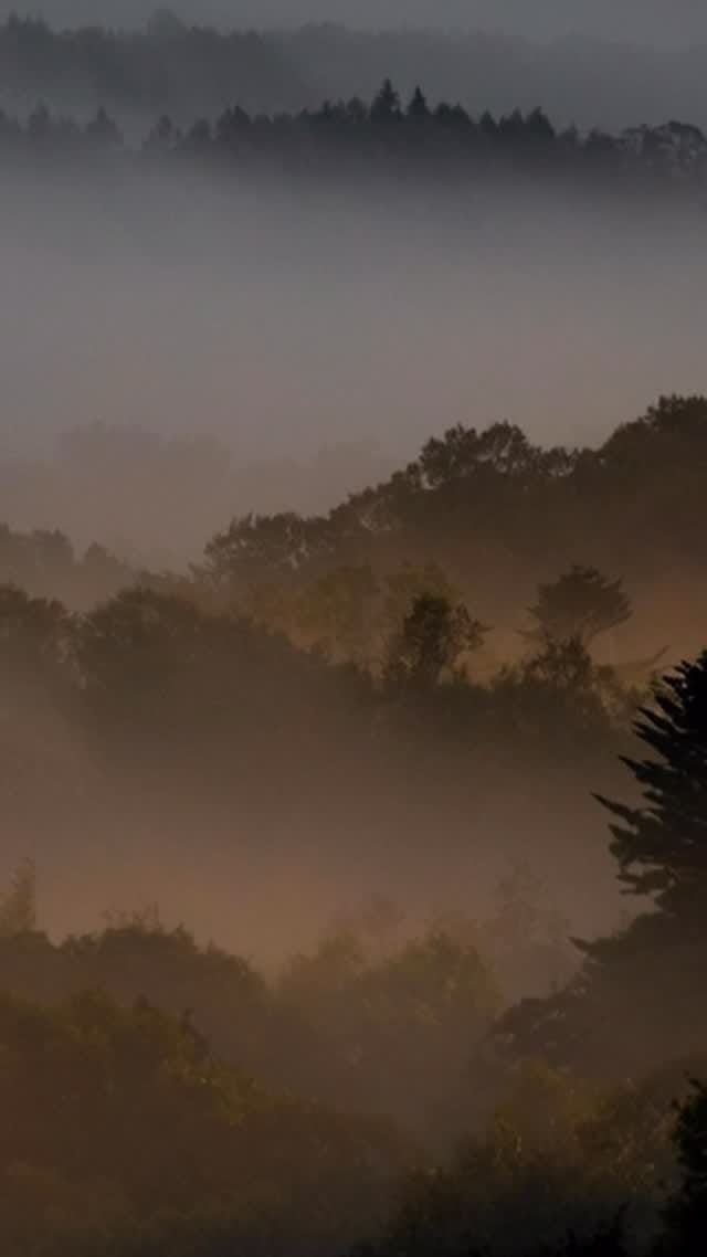 Post 7 by Shouya Grigg | Artist of Place on Instagram (video)