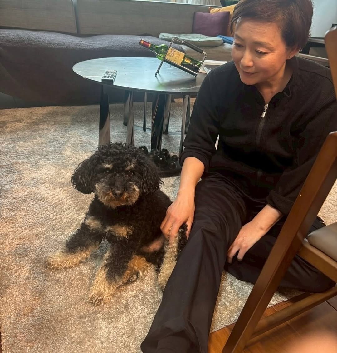 Post 8 by 床嶋佳子 Yoshiko Tokoshima on Instagram (carousel)