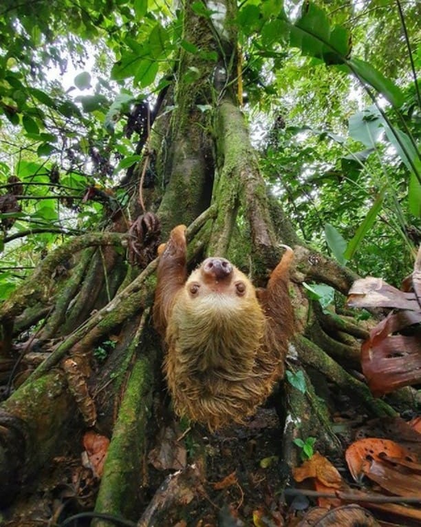 Post 5 by Costa Rica Traveler on Instagram (image)