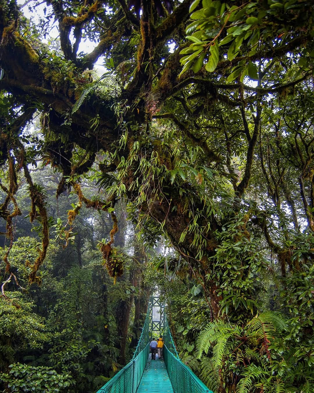 Post 2 by Costa Rica Traveler on Instagram (image)