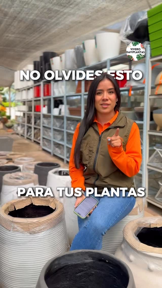 Post 8 by 🌿VIVERO DAVIPLANTAS 🍀 on Instagram (video)