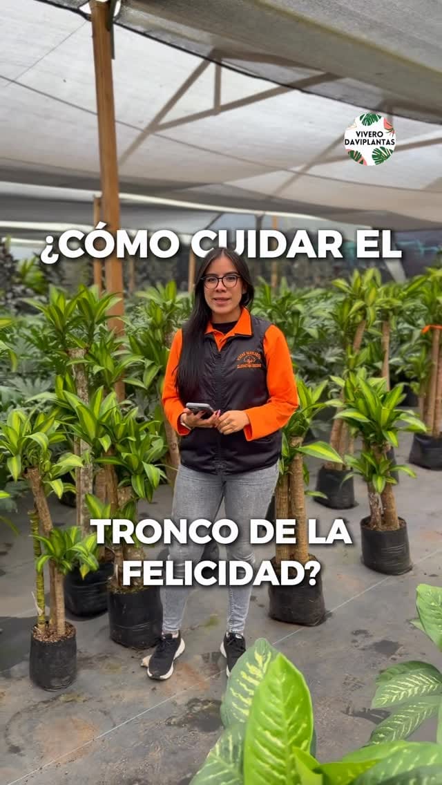 Post 6 by 🌿VIVERO DAVIPLANTAS 🍀 on Instagram (video)