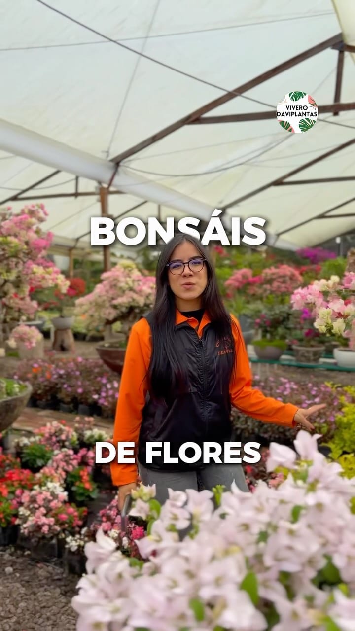 Post 4 by 🌿VIVERO DAVIPLANTAS 🍀 on Instagram (video)