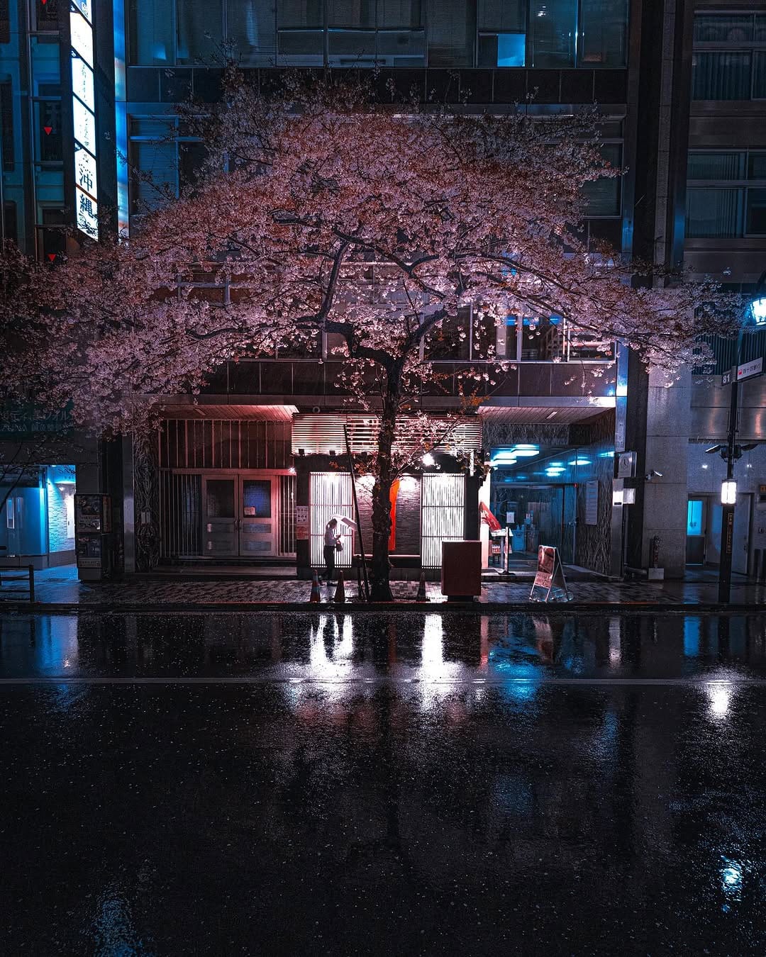 Post 6 by Ichi on Instagram (carousel)
