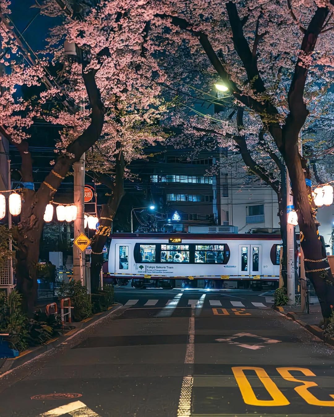 Post 2 by Ichi on Instagram (image)
