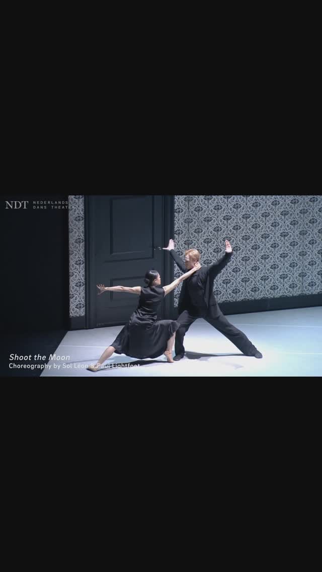 Post 10 by Madoka Kariya 刈谷円香 on Instagram (video)