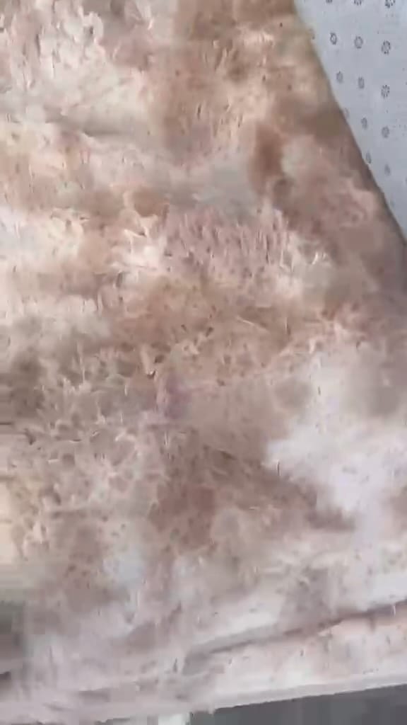 Post 4 by creative design studio on Instagram (video)