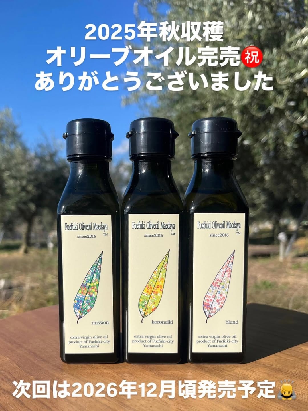 Post 8 by 前田啓介🐻笛吹オリーブオイル前田屋 on Instagram (image)