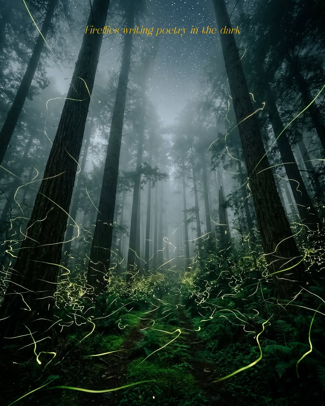 Post 2 by Shahan abdul samad on Instagram (image)