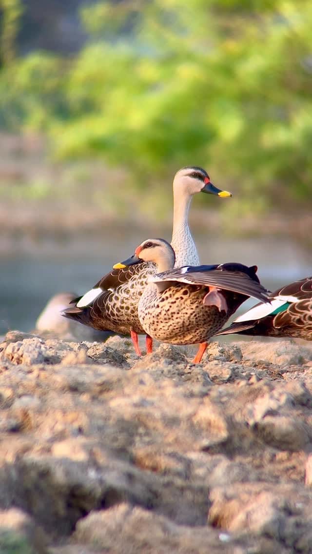 Post 9 by Amit Berwal on Instagram (video)