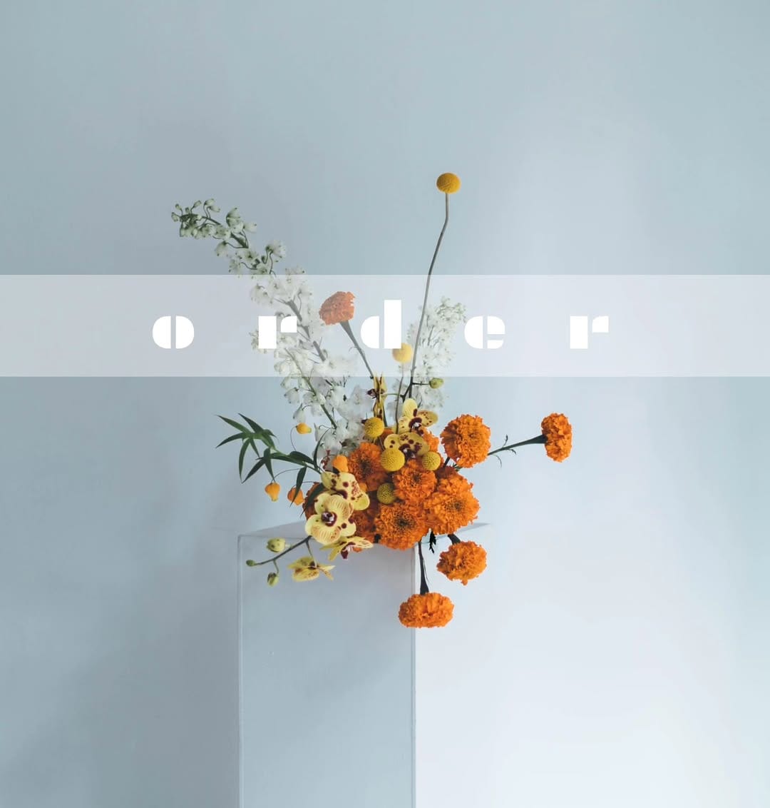 Post 10 by mojo flower on Instagram (carousel)