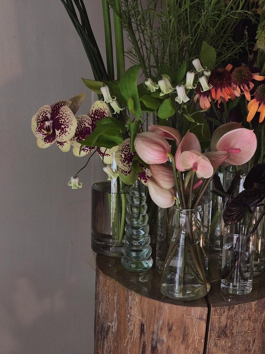 Post 8 by mojo flower on Instagram (carousel)
