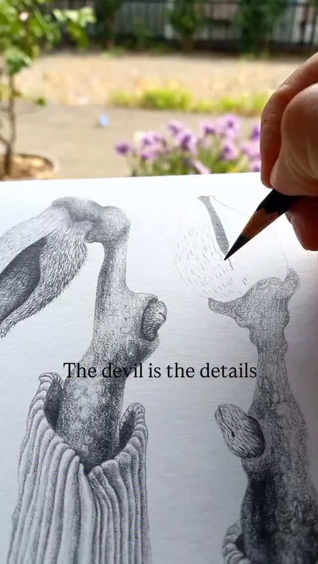 Post 1 by Teresa Currea on Instagram (video)