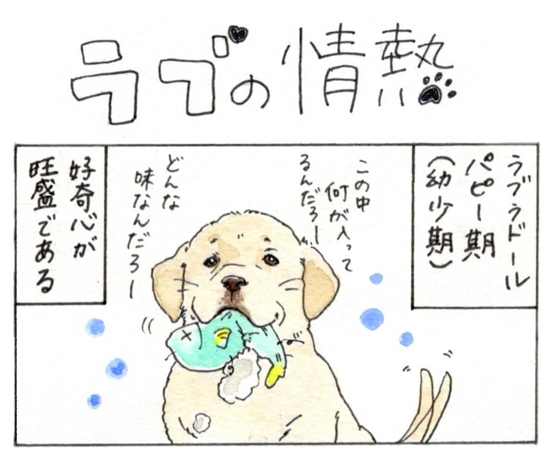Post 5 by 中村ちか【イラストレーター】 on Instagram (carousel)